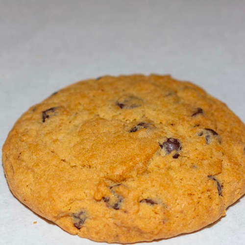 Chocolate Chip